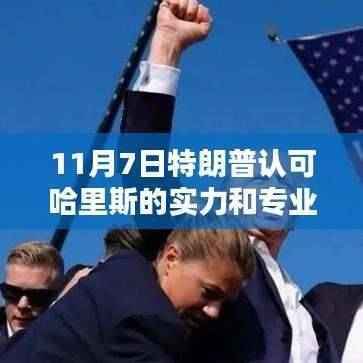 特朗普赞誉的隐藏瑰宝，哈里斯专业精神与小巷特色小店的故事