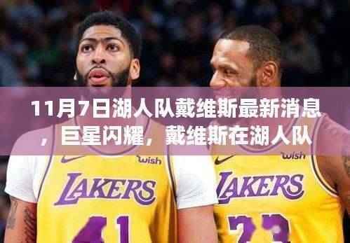 揭秘戴维斯在湖人队的新篇章,巨星闪耀的11月最新观察报告