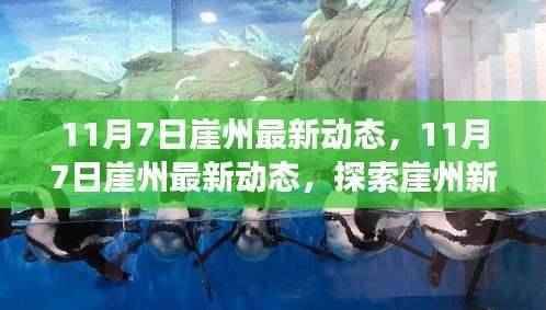 崖州新动态,探索新面貌,感受时代脉搏的跃动(最新资讯)