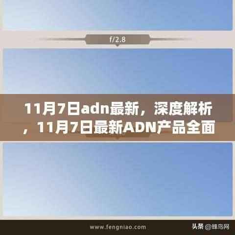11月7日ADN产品深度解析与全面评测报告