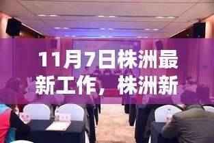株洲新纪元,探寻最新工作时代印记的11月7日动态
