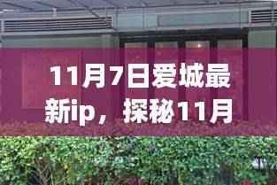 探秘爱城最新IP,巷弄深处的独特小店(11月7日更新)