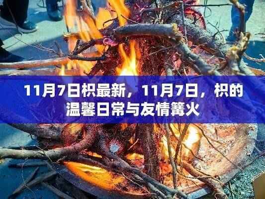 枳的温馨日常与友情篝火,十一月七日最新更新
