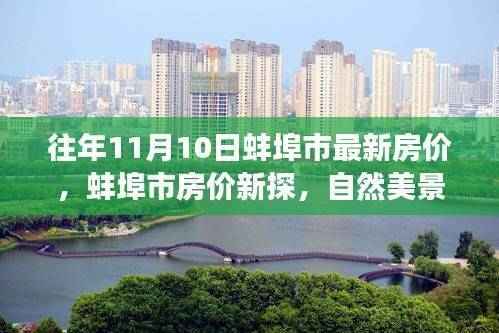 往年11月蚌埠市最新房价揭秘,自然美景之旅,探寻内心宁静与平和的居所