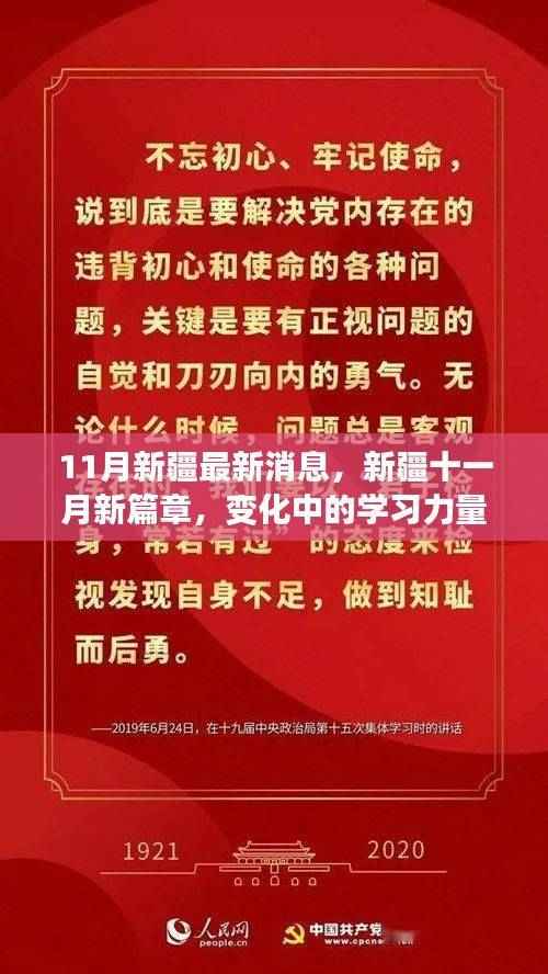 新疆11月新篇章,学习力量的蜕变与自信成就感的闪耀之旅