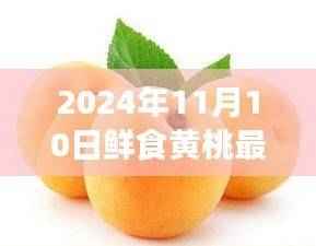 探秘鲜食黄桃新品种,小巷深处的尝鲜之旅(2024年最新报道)