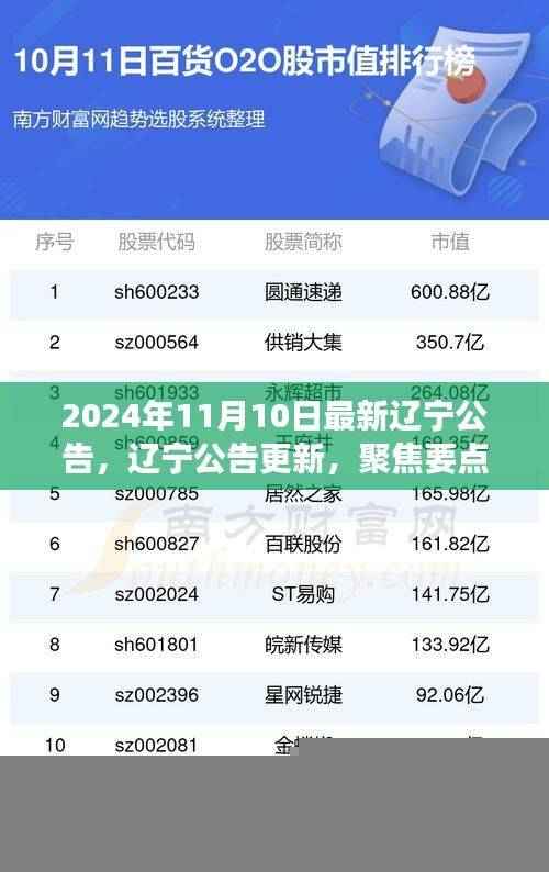 聚焦解读辽宁最新公告，洞悉未来趋势与要点更新