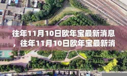 往年11月10日欧年宝最新消息全面解读与观点碰撞