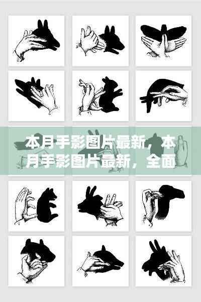 本月手影图片最新,全面评测与详细介绍