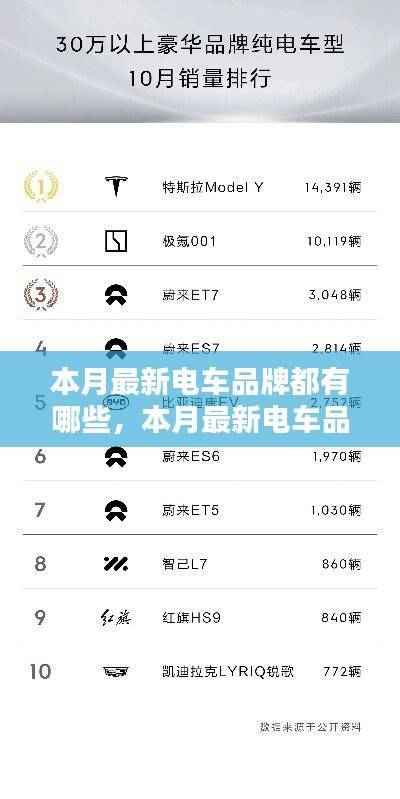 本月新品牌电车探索指南，全面解读最新品牌电车，助您选购心仪车型