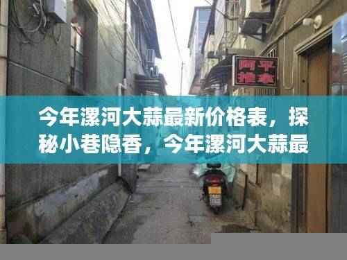 今年漯河大蒜最新价格表，小巷隐香独特风味小店探秘之旅