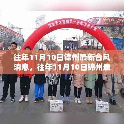 往年11月10日锦州台风最新消息，深度解析与前沿动态报告
