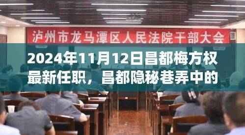 梅方权新职务揭秘,昌都隐秘巷弄美食秘境与独特风味探索