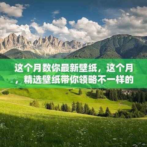 精选壁纸，领略独特风景，本月新壁纸欣赏