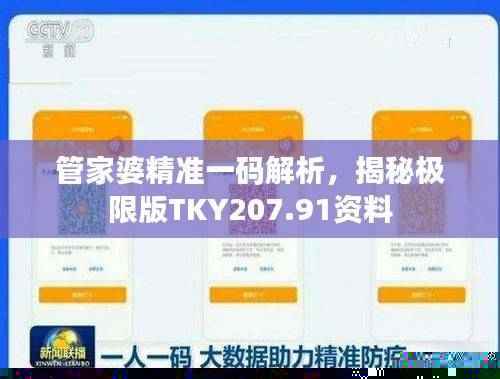 管家婆精准一码解析，揭秘极限版TKY207.91资料