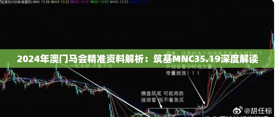 2024年澳门马会精准资料解析：筑基MNC35.19深度解读