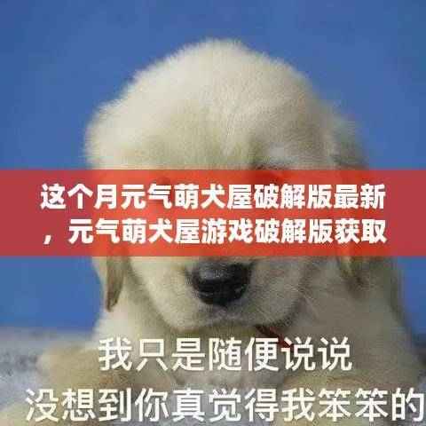 元气萌犬屋游戏破解版获取与安装指南（不推荐行为，法律风险提示）