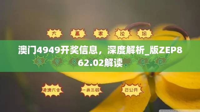 澳门4949开奖信息,深度解析_版ZEP862.02解读