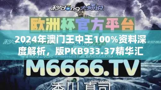 2024年澳门王中王100%资料深度解析,版PKB933.37精华汇总