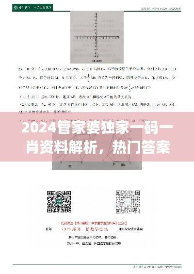 2024管家婆独家一码一肖资料解析，热门答案详解_旗舰版QMU541.4