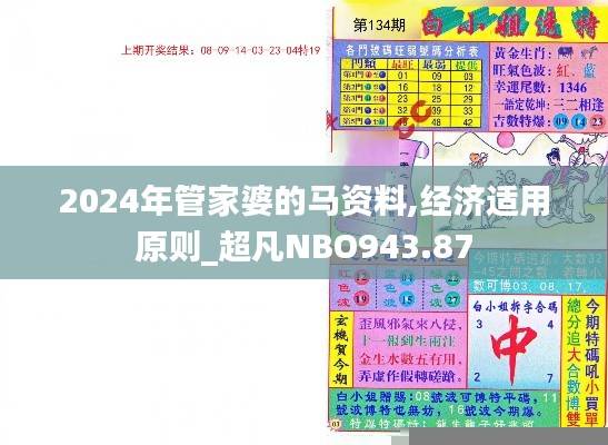 2024年管家婆的马资料,经济适用原则_超凡NBO943.87