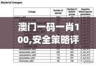 澳门一码一肖100,安全策略评估方案_无极境MXL923.9