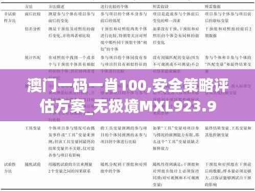 澳门一码一肖100,安全策略评估方案_无极境MXL923.9