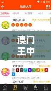 澳门王中王百分百精准，安全策略评估与管理版UVO199攻略