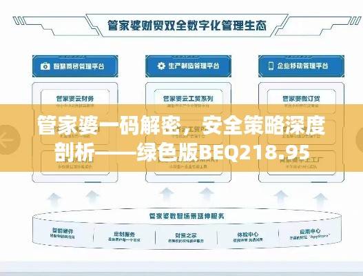 管家婆一码解密,安全策略深度剖析——绿色版BEQ218.95