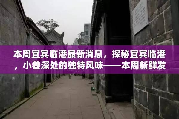 宜宾临港最新探秘,小巷独特风味与本周新鲜发现