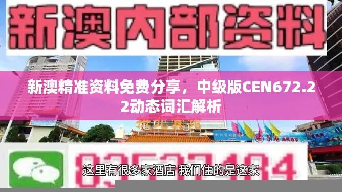 新澳精准资料免费分享，中级版CEN672.22动态词汇解析