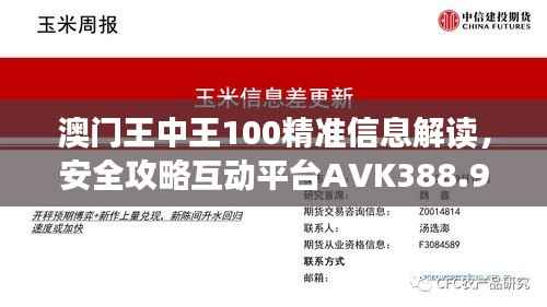 澳门王中王100精准信息解读,安全攻略互动平台AVK388.95