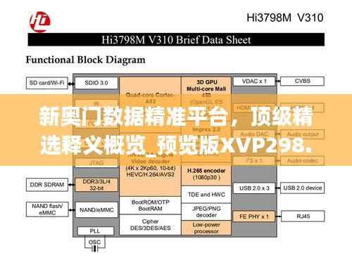 新奥门数据精准平台，顶级精选释义概览_预览版XVP298.23