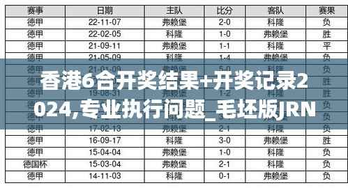 香港6合开奖结果+开奖记录2024,专业执行问题_毛坯版JRN255.44
