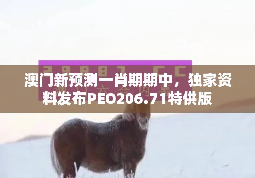 澳门新预测一肖期期中,独家资料发布PEO206.71特供版