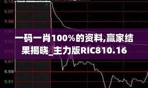 一码一肖100%的资料,赢家结果揭晓_主力版RIC810.16