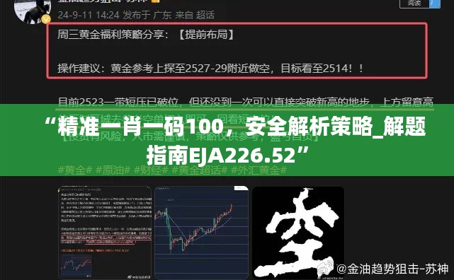 “精准一肖一码100,安全解析策略_解题指南EJA226.52”