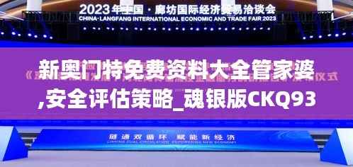 新奥门特免费资料大全管家婆,安全评估策略_魂银版CKQ931.41