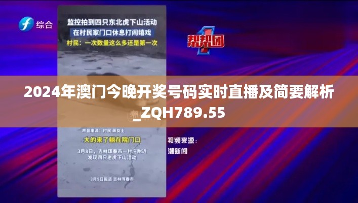 2024年澳门今晚开奖号码实时直播及简要解析_ZQH789.55