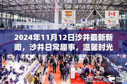 沙井时光,最新新闻与日常趣事的温馨邂逅 2024年11月12日
