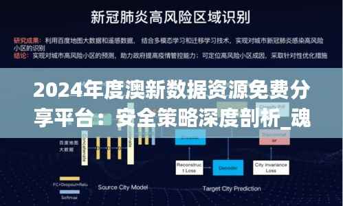 2024年度澳新数据资源免费分享平台:安全策略深度剖析_魂银版KYG531.43