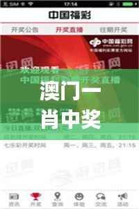 澳门一肖中奖率百分百,独享策略秘籍_XJV335.33特供版