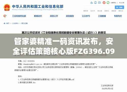 管家婆精准一码资讯发布，安全评估策略核心版FZG396.09解读
