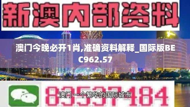 澳门今晚必开1肖,准确资料解释_国际版BEC962.57