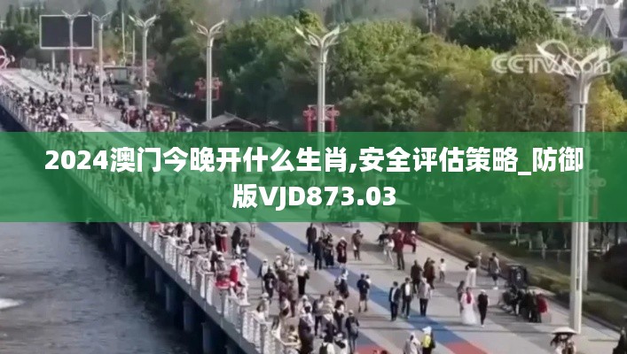 2024澳门今晚开什么生肖,安全评估策略_防御版VJD873.03