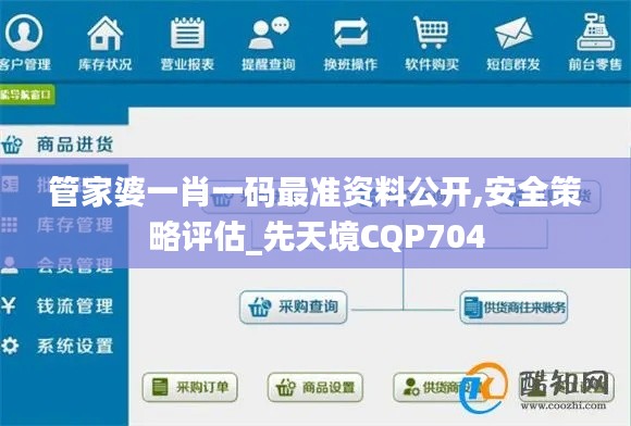 管家婆一肖一码最准资料公开,安全策略评估_先天境CQP704