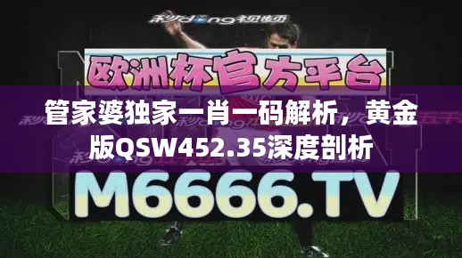 管家婆独家一肖一码解析，黄金版QSW452.35深度剖析