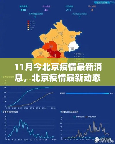北京疫情最新动态解析与应对指南(初学者与进阶用户必备参考)