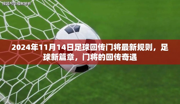 张牙舞爪 第25页