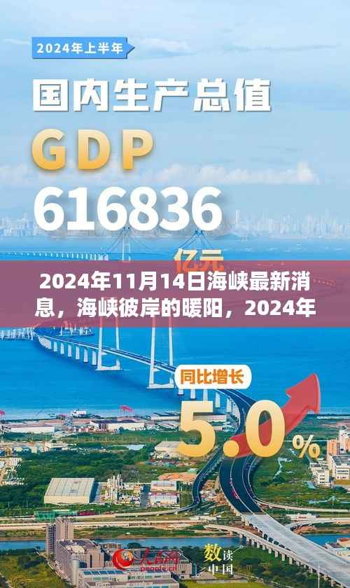 海峡彼岸的暖阳,奇遇与情感纽带在2024年11月14日的最新消息